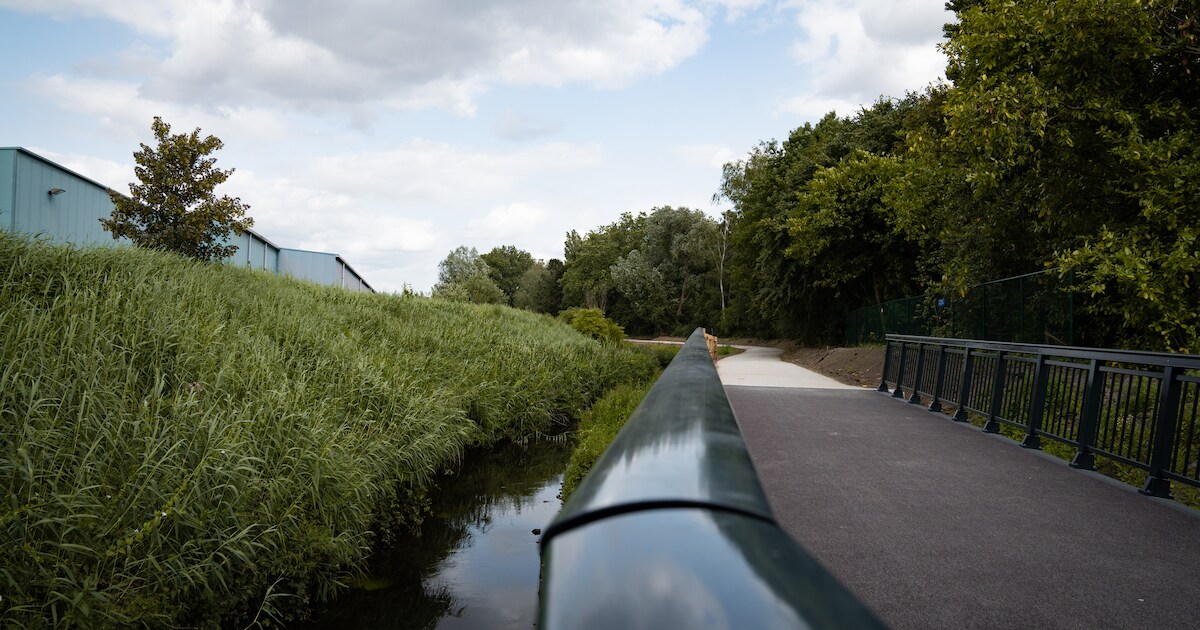 Fietspad aan Bovenvliet één dag afgesloten voor het kappen van boom