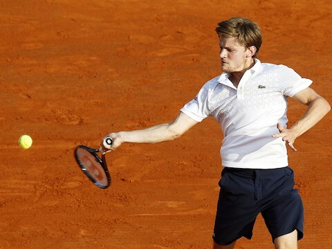 David Goffin