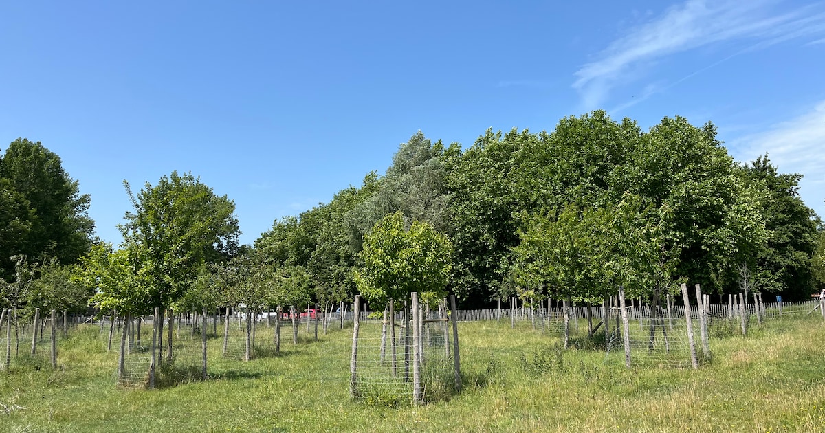 Nieuwpoort trekt stekker uit nieuwe brandweerkazerne en start opnieuw