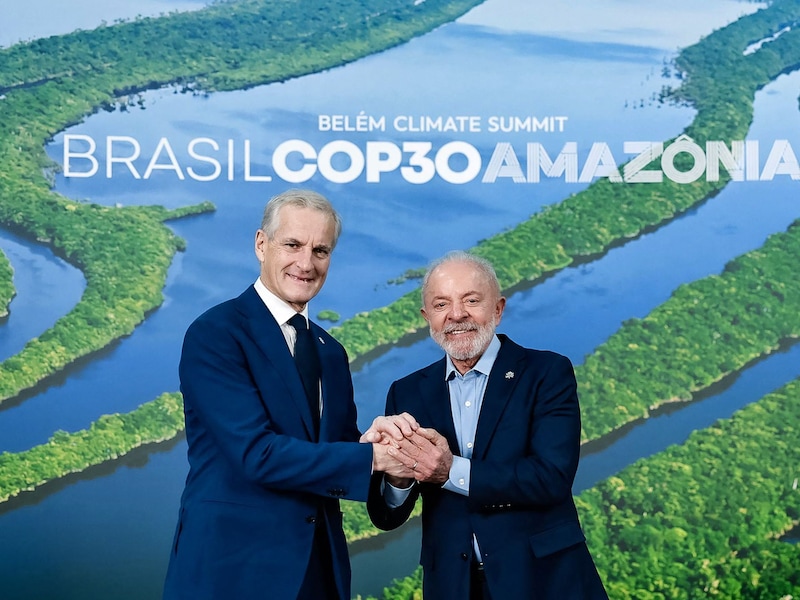 Brazilië start miljardenfonds voor bescherming regenwoud, Noorwegen doet eerste grote gift van 3 miljard