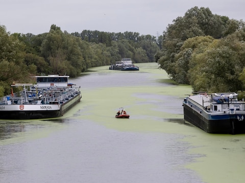 Zoekactie in de Leie in Oeselgem (Dentergem) naar een man die in het water is terechtgekomen. Het scheepvaartverkeer werd stilgelegd.