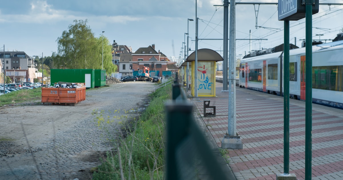 Treinverkeer tussen Mechelen en Kontich verstoord na ongeval in Duffel