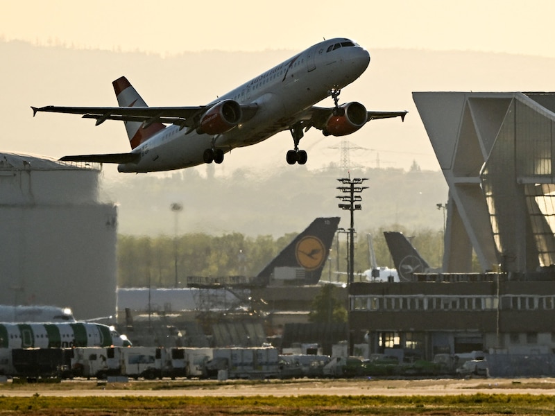 Twee werknemers van luchthaven Frankfurt overleden aan malaria na muggenbeet: “Muggen waren aan boord van vliegtuig meegereisd”