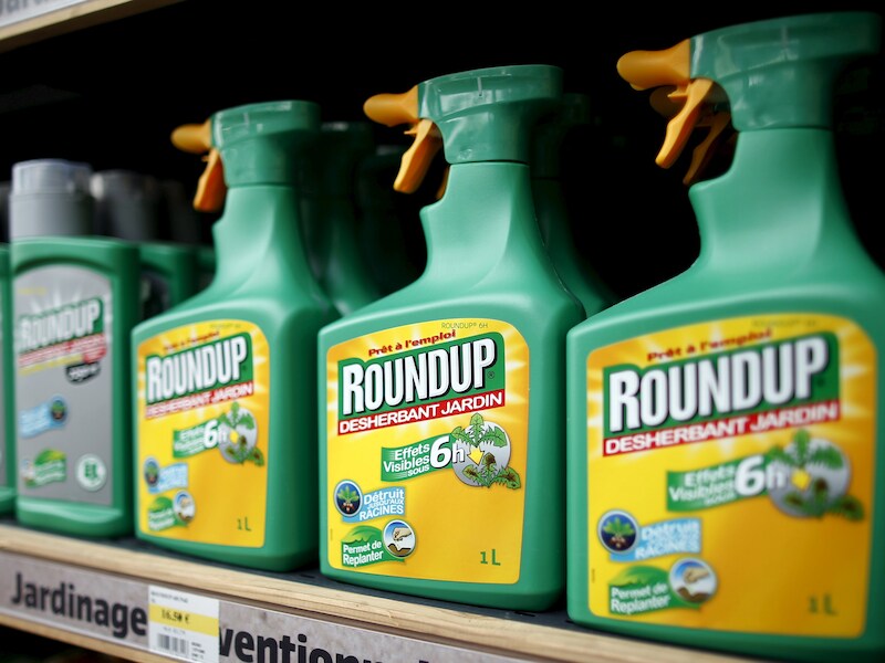 De "waarschijnlijk kankerverwekkende" stof glyfosaat zit bijvoorbeeld in de onkruidverdelger Roundup.