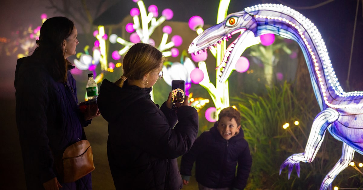 DINO NIGHTS brengt vijftig dinosaurussen naar ZOO Planckendael: “We brengen de prehistorie op een ma