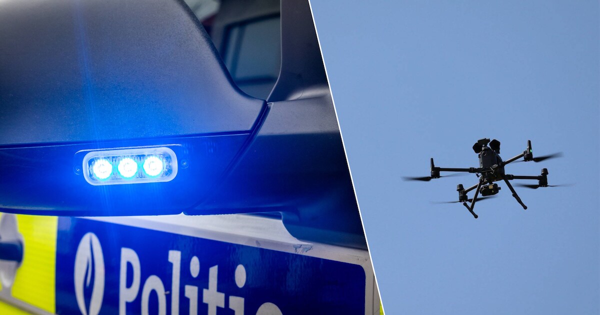 Achtervolging van vermoedelijke inbrekers eindigt in veld in Zammelen: één verdachte opgepakt, twee 
