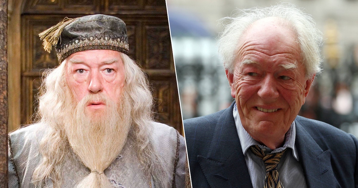 ‘Harry Potter’-acteur Michael Gambon overleden op 82-jarige leeftijd ...