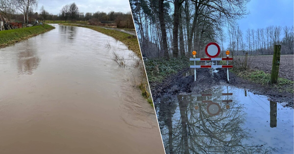 Waterstanden in Demerbekken onder verhoogde waakzaamheid door nat weer ...