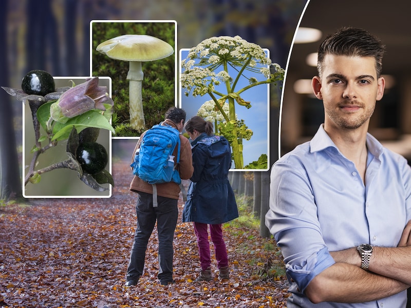 Ook in ons land pas je best op voor gevaarlijke fauna en flora, waarschuwt wetenschapsexpert Martijn Peters.