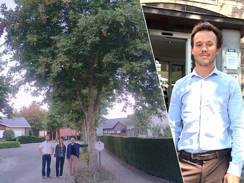 De Groen-fractie bij de gigantische bomen in de Schoolstraat in Sleidinge., Josse Verdegem