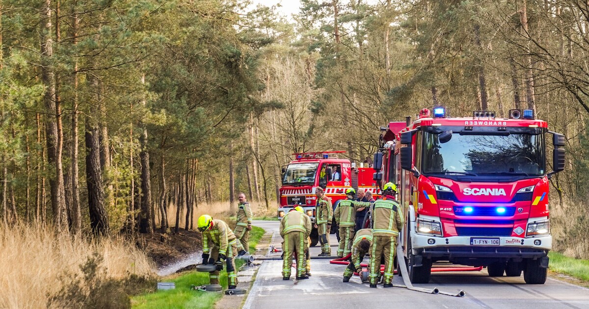 Weer bosbrand bij grensgebied Budel, ook in Hamont mogelijk sprake van brandstichting