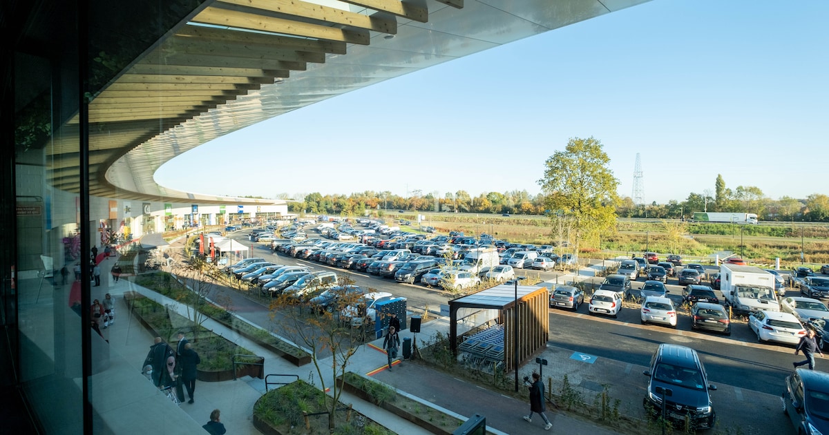 Vriendinnen staan terecht voor diefstallen bij Aldi en JBC: “Moet ik geloven dat ze hun leven hebben