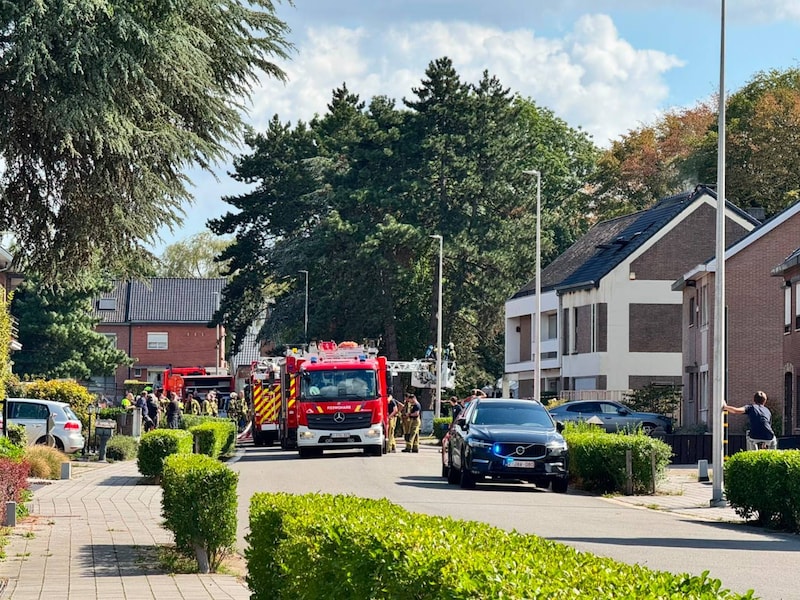Brand breekt uit in woning in Hasselt: “Brandweer breekt nu dak open om isolatiemateriaal te blussen”