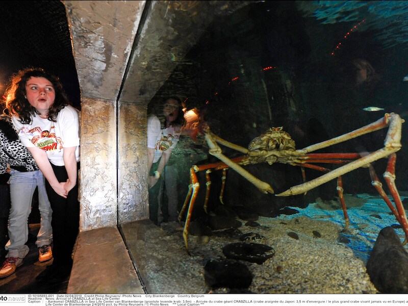 De groep Merlin Entertainment is ook eigenaar van het Sea Life Center in Blankenberge.