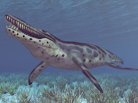 Een computergegenereerd beeld van de uitgestorven pliosaurus.