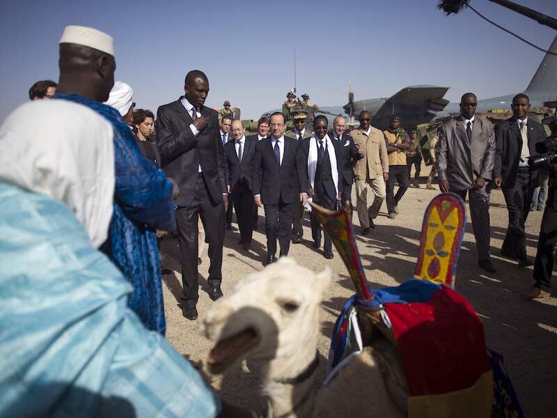 Het eerste exemplaar dat Hollande cadeau kreeg, werd door een familie in Timboektoe, bij wie hij het dier had achtergelaten, geslacht en opgegeten.