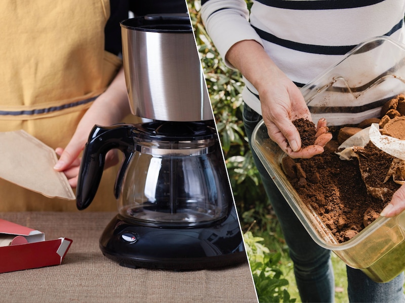 Koffiedik als gratis meststof in je tuin: dit moet je weten vooraleer je het uitstrooit