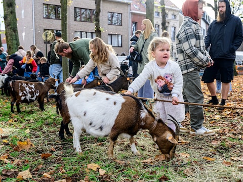Nielse jaarmarkt blijft op maandag: “Twee scholen in eventzone blijven dicht om veiligheidsredenen”