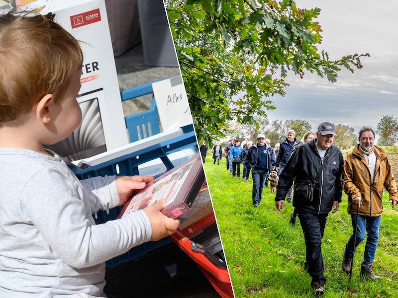 Wat te doen in de Denderstreek en Vlaamse Ardennen dit weekend? Van wandelen voor het goede doel tot kasseien gooien
