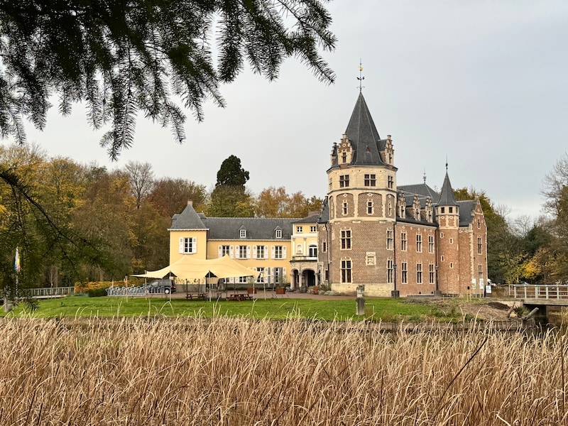 Verhalen, natuur en fantasie: kinderen ontdekken Domein de Renesse met gravin Anemoontje
