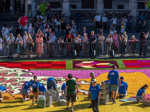 Het bloementapijt krijgt vorm op de Grote Markt in Brussel.