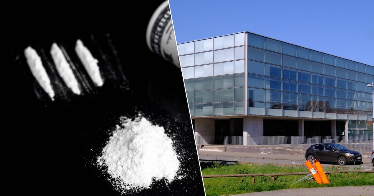 “Witte substantie hing nog onder zijn neus”: man (29) betrapt onder ...