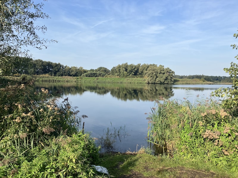 Oppositie wil zwemmen in open water mogelijk maken, bestuur: “Geen geschikte locatie in onze gemeente”