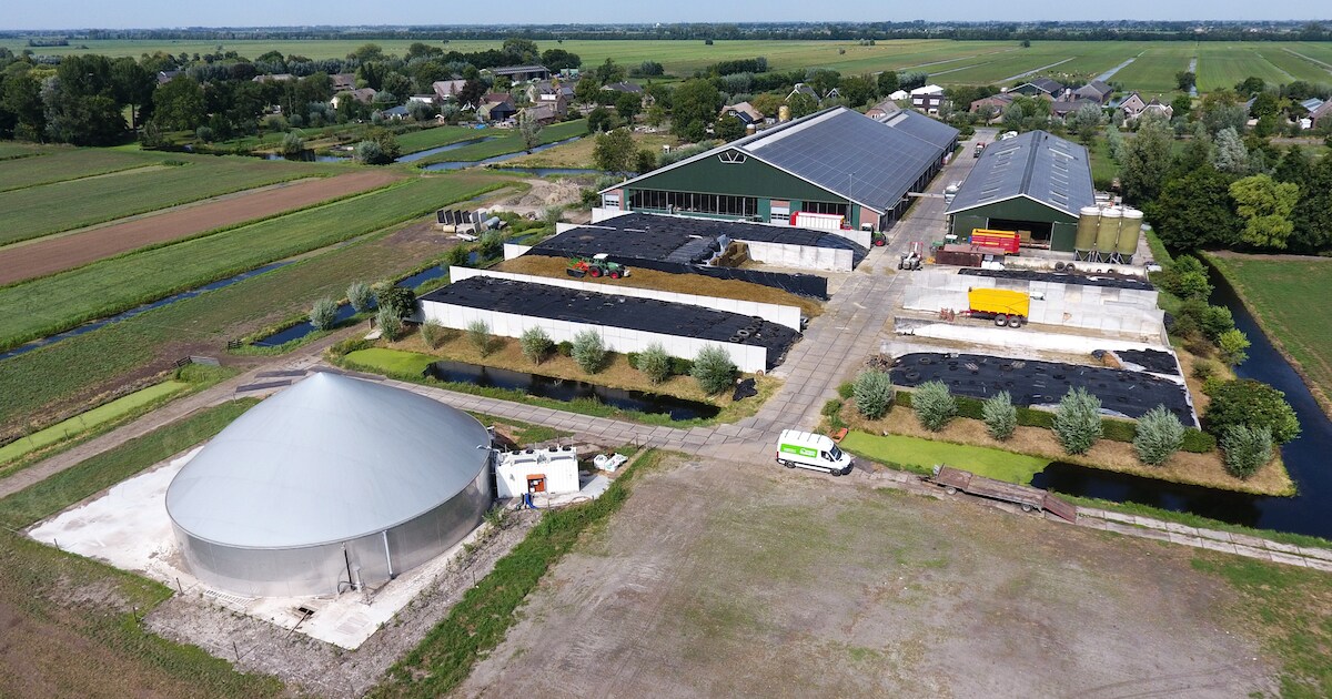 Biolectric uit Temse gaat mestvergisters bouwen bij honderdtal Franse ...
