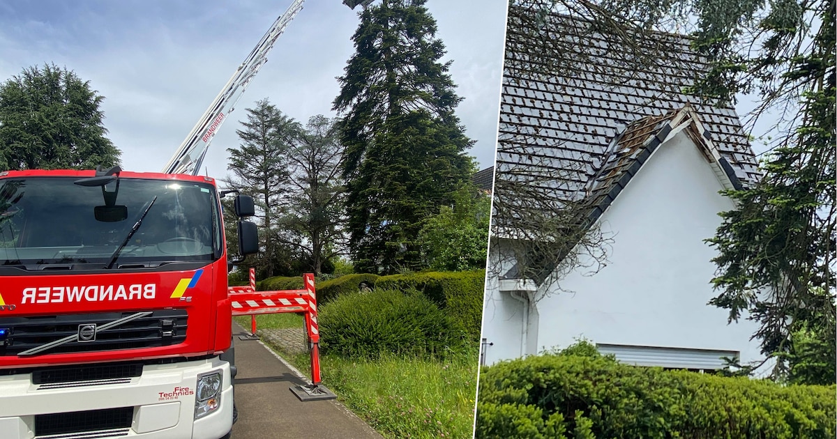 Bliksem slaat in op boom en dakkapel in Putte: “Dak en elektrische installatie beschadigd”