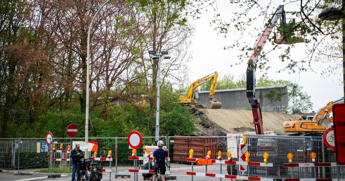 KIJK. Afbraak van bruggen over E313 trekt veel bekijks: “Ik sta hier al drie uur”