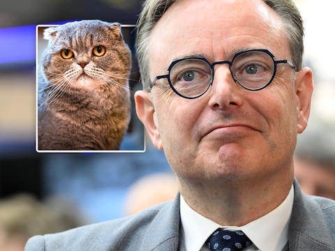 Misschien heeft zijn succes ook te maken met Maximus, De Wevers kat die met zijn kenmerkende humor als aaibare tegenpool dient voor het soms harde regeringsbeleid?