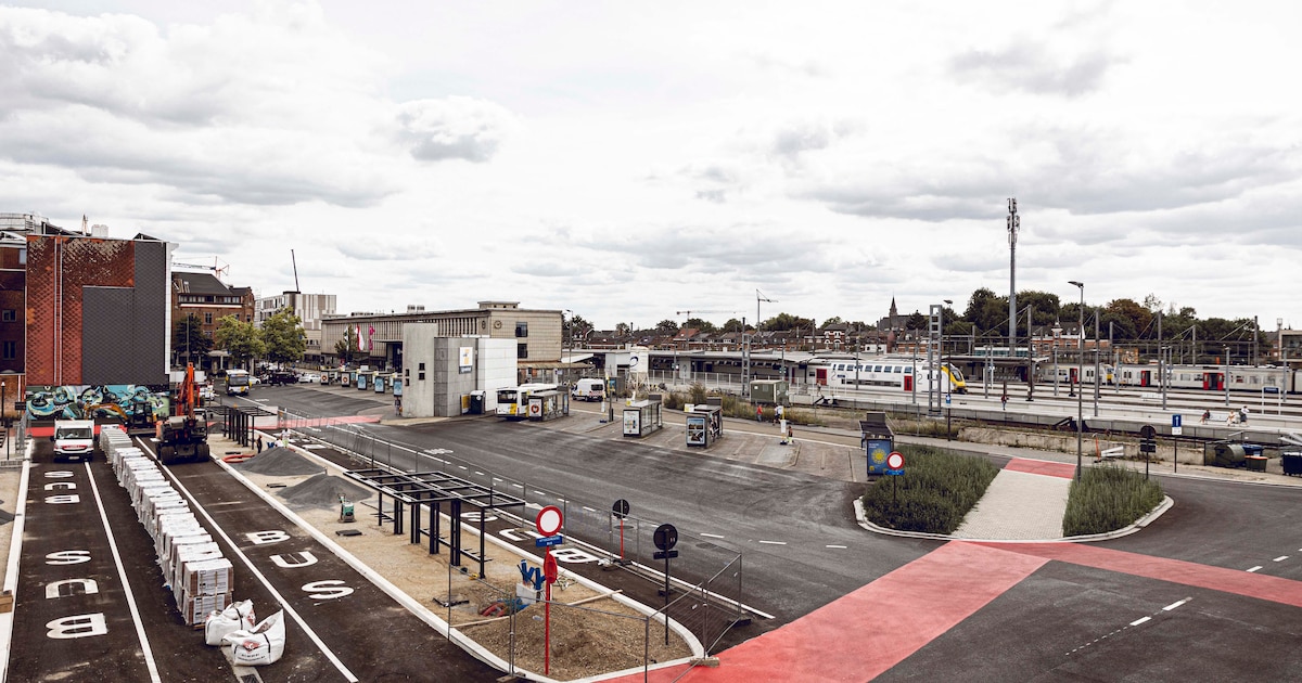 Man (60) flasht in fotohokje van station Hasselt en wordt bij verstek veroordeeld