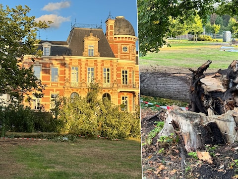 Het stormachtig weer velde afgelopen weekend een linde vlak voor het Kasteel van Brasschaat 