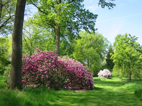 Het Arboretum is een uniek stuk onderhouden natuur achter het station van Wespelaar.