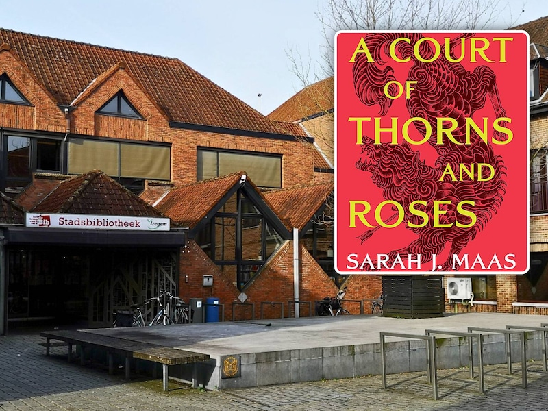 De bibliotheek in Izegem., Inzet: A court of Thorns and Roses NINA 741