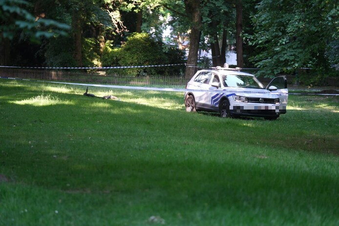 Kind (12) op step overleden na aanrijding door politiewagen in Brussel: “Gigantisch drama voor familie en ook agenten” | Instagram VTM NIEUWS | hln.be