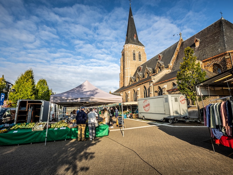 Immo Tessenderlo
markt