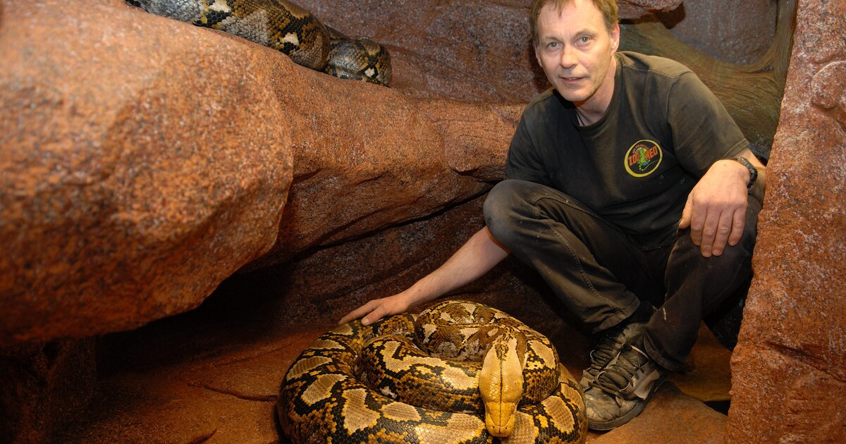 Van 160 reptielen in eigen woning tot minizoo op de Zeedijk, bezieler ...