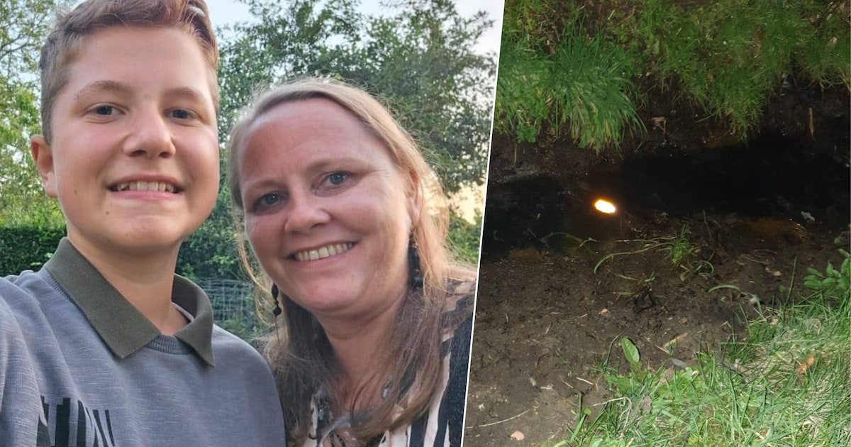 Robbe (15) werd voor dood achtergelaten: speelt aanrijder luguber spel ...