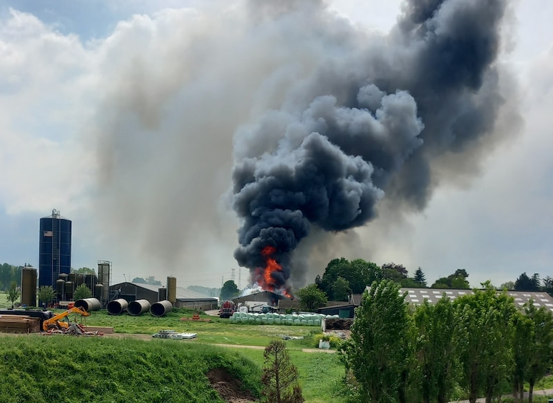 3.000 biggen overleden bij stalbrand in Temse: “Laat brokstukken voorlopig  liggen” | Regio | HLN.be