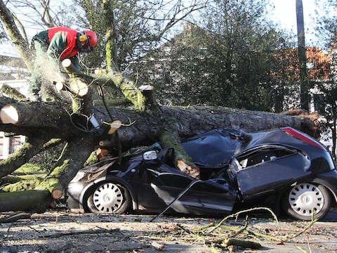 Omgewaaide bomen zorgen voor heel wat ravage zoals hier in Gent.