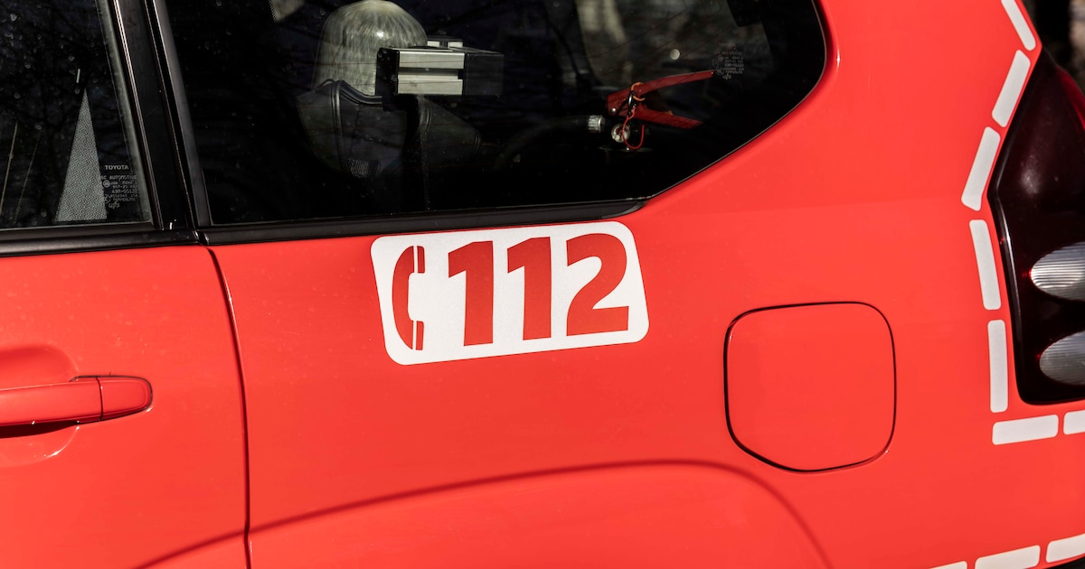 Zeven paarden omgekomen bij stalbrand in Maaseik, paardenhouder zwaargewond