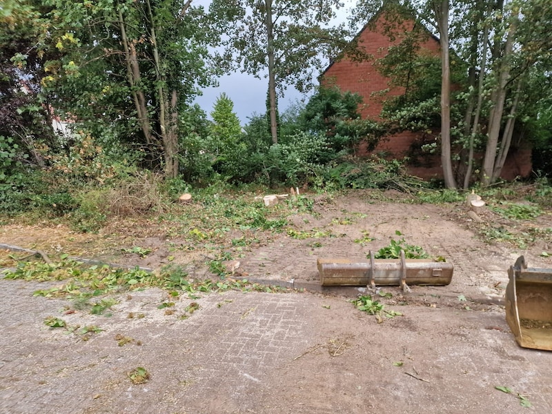Stadsbestuur tilt zwaar aan niet-vergunde bomenkap op Q8-site: “We willen een signaal geven dat zoiets niet kan”