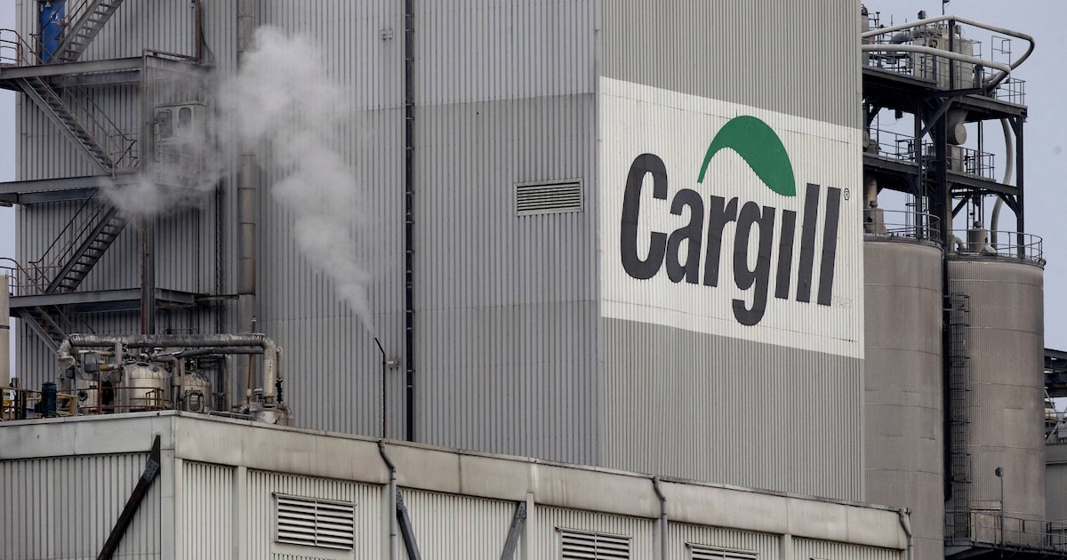 Personeel Cargill in Sas van Gent staakt | Regio | HLN.be