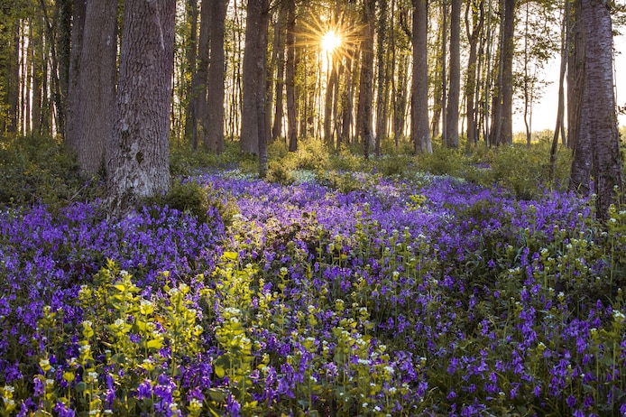 Waarom begint de lente vandaag al en niet morgen? “Niet alle seizoenen ...
