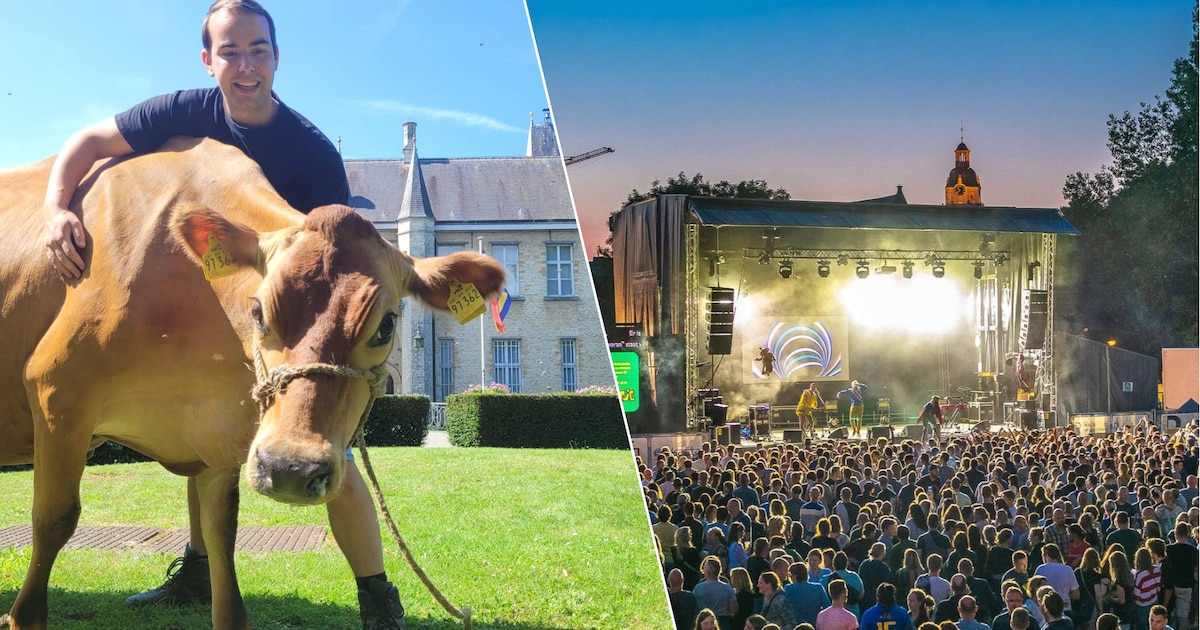 Wat te doen in het Waasland en Dendermonde dit weekend? Naar de weide voor een festival of om een ko