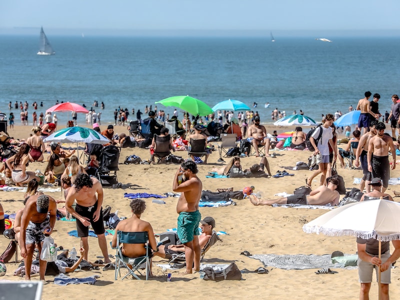 Topzomer aan zee: 11,2 miljoen overnachtingen en recordaantal dagtoeristen sinds corona