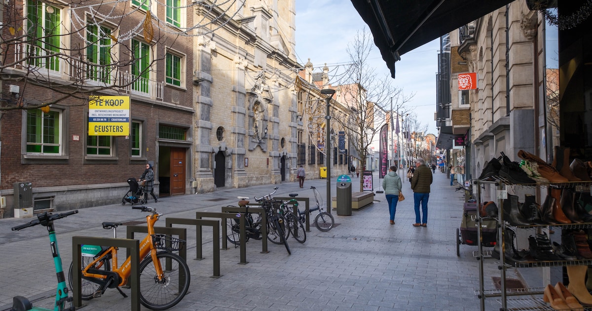 Dief rooft portefeuille van wandelaar in Bruul
