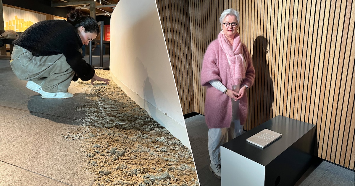 Layla en Sonja krijgen van Nieuwpoort de driejaarlijkse Kunstprijs