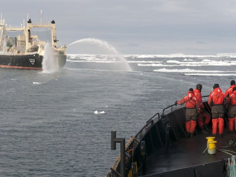 Archieffoto van het Japanse schip Nisshin Maru.